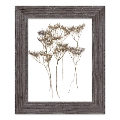 Dried Florals Framed Print