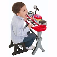 Enviro-Mental Toy Ripping Rocking Rolling Keys