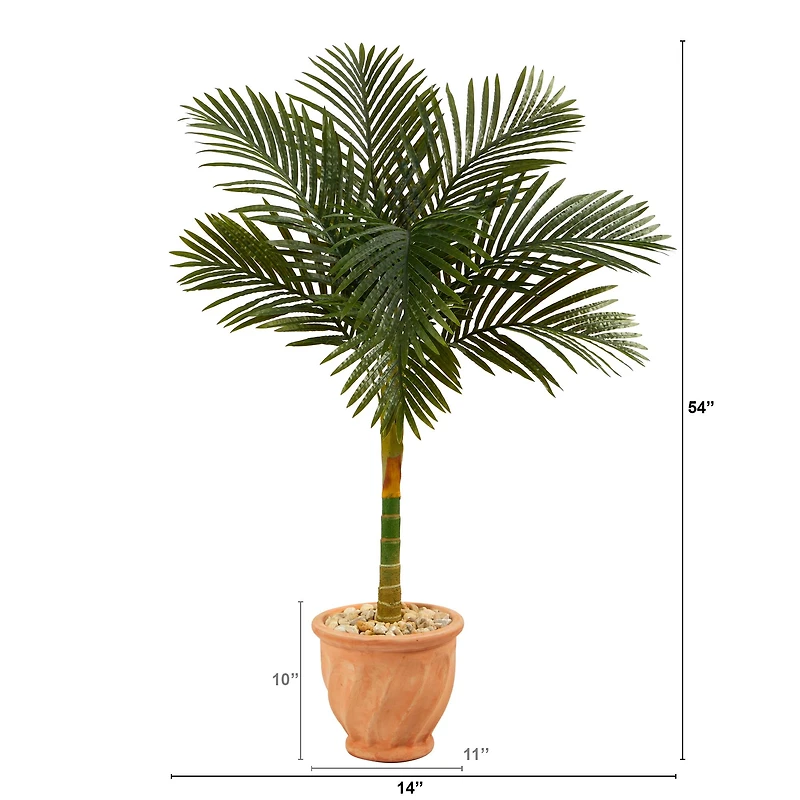 4.5ft. Golden Cane Palm Tree in Terra-Cotta Planter