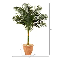 4.5ft. Golden Cane Palm Tree in Terra-Cotta Planter