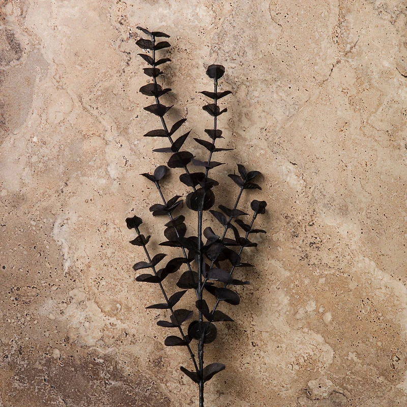 12 Pack: Black Eucalyptus Spray by Ashland®