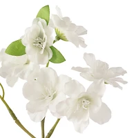 White Sakura Spray by Ashland®