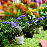 Mini Potted Orchid Plants by Make Market®