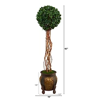 5.5ft. English Ivy Single Ball Artificial Topiary Tree in Decorative Planter