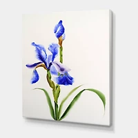 Designart - Retro Blue Iris Flower