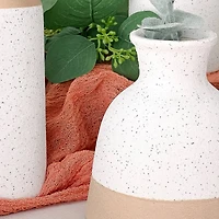 Kate Aspen® Modern Farmhouse Vase Set