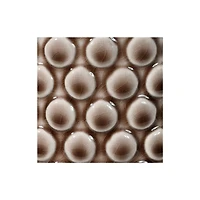 Hello Honey® Round Polka Dot Stoneware Flower Pot