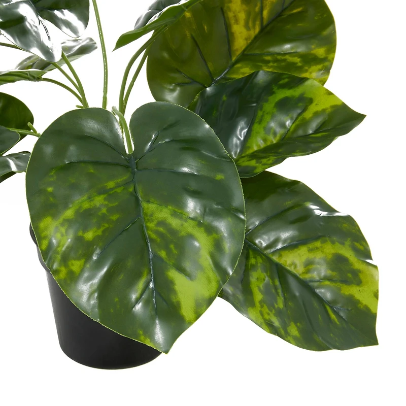 Green Plastic Traditional Artificial Foliage, 19" x 12" x 12"
