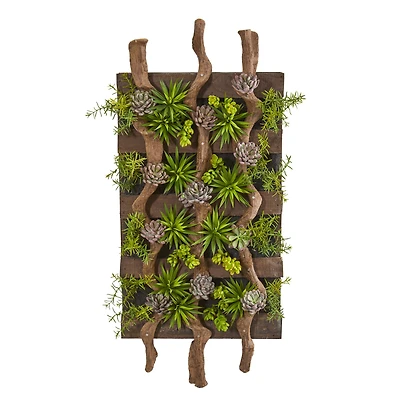 3.5ft. Mixed Succulent Wall