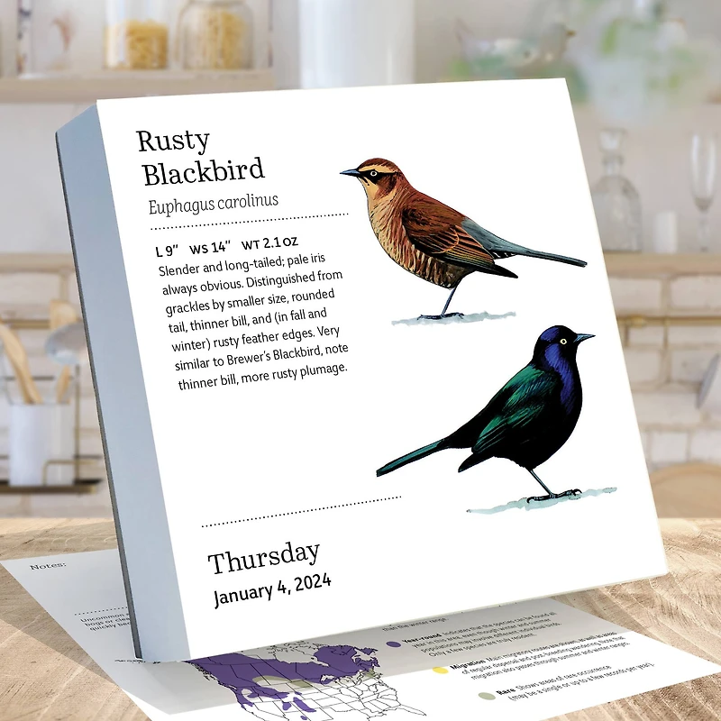 TF Publishing 2024 Birds: Backyard & Beyond Daily Desktop Calendar
