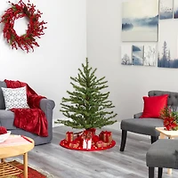 4ft. Pre-Lit Vancouver Mountain Pine Artificial Christmas Tree with Clear Lights