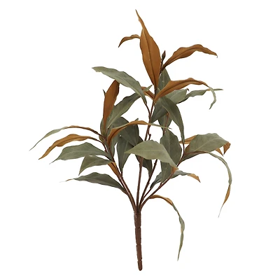 19" Green & Brown Long Leaf Eucalyptus Bush by Ashland®