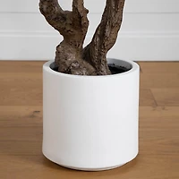 6ft. Artificial Audrey Ficus Leaf Tree in White Decorative Planter