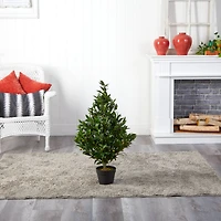 3ft. Potted Olive Cone Topiary Tree