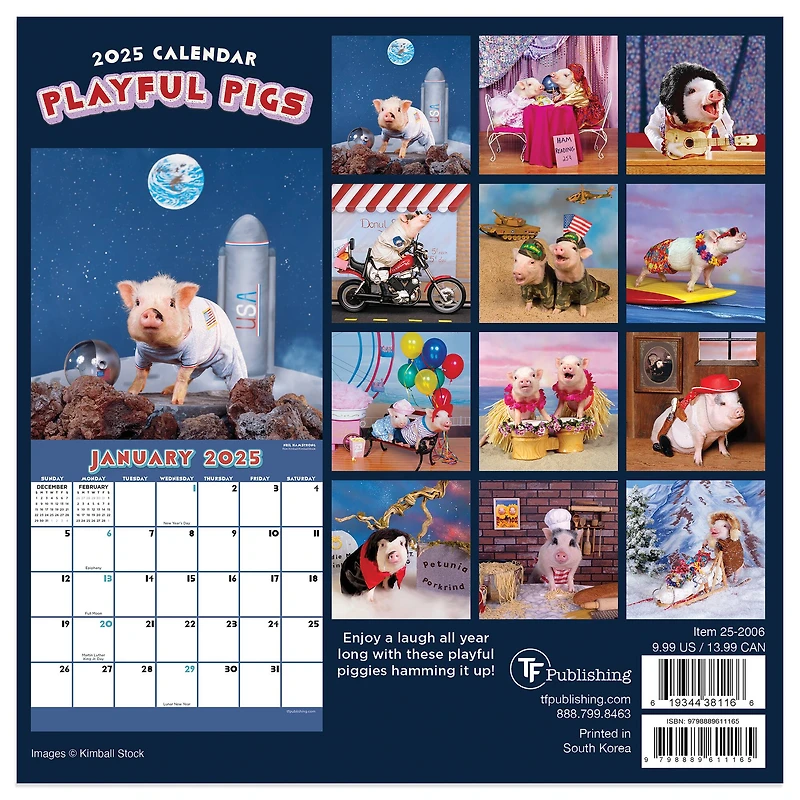 TF Publishing 2025 Playful Pigs Mini Calendar