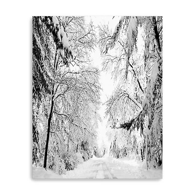 Wintery Dreams Path Canvas Giclee
