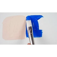 Silver Brush Limited Bristlon Long Filbert Brushes, Set of 5