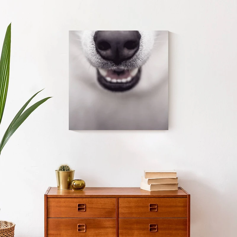 Dog Nose 20" x 20" Canvas Wall Art