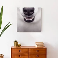 Dog Nose 20" x 20" Canvas Wall Art