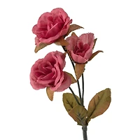 Floral Essentials Heart Rose Spray by Ashland®