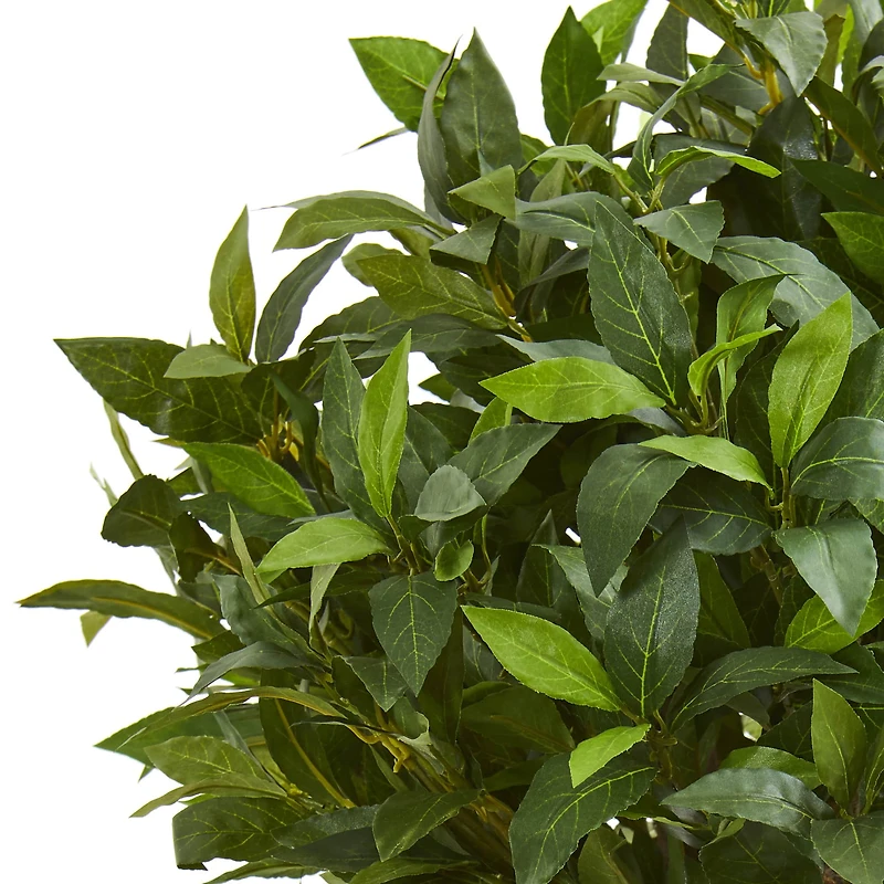 3ft. Potted Bay Leaf Topiary Tree