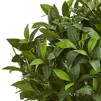3ft. Potted Bay Leaf Topiary Tree