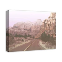 Blush Canyons 20" x 16" Canvas Wall Art