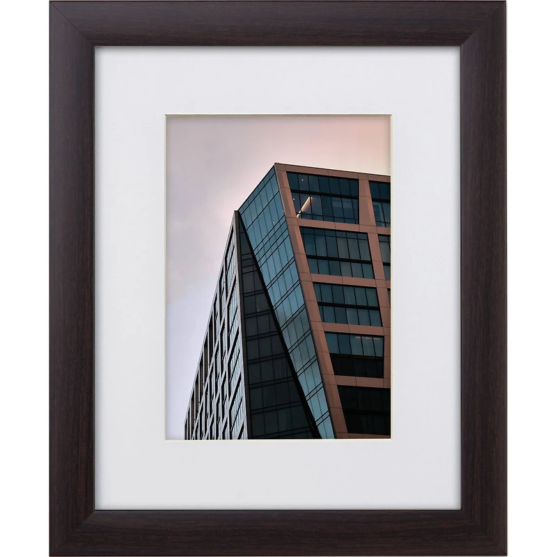 Craig Frames 4 Pack: Contemporary Brazilian Walnut Picture Frame with Mat