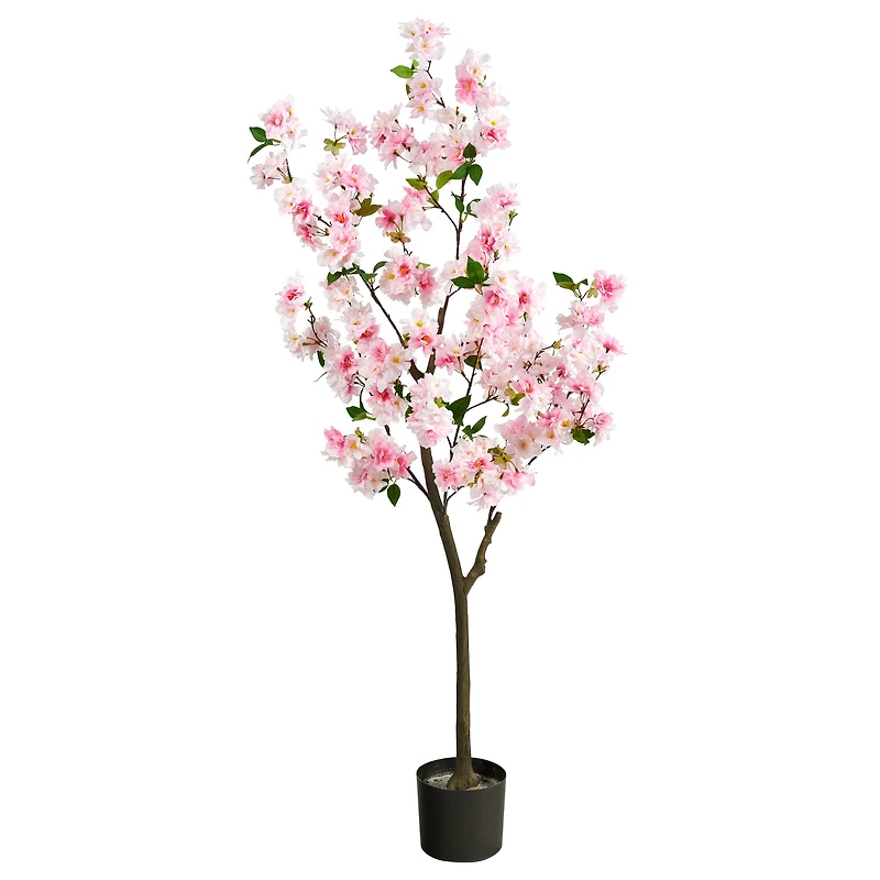 5ft. Potted Cherry Blossom Tree