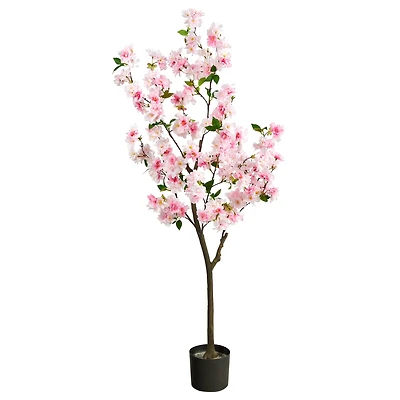 5ft. Potted Cherry Blossom Tree