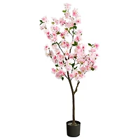 5ft. Potted Cherry Blossom Tree