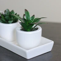 3.5" Artificial Succulent Planter with White Pot