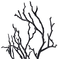 Black Bare Branch Stem by Ashland®