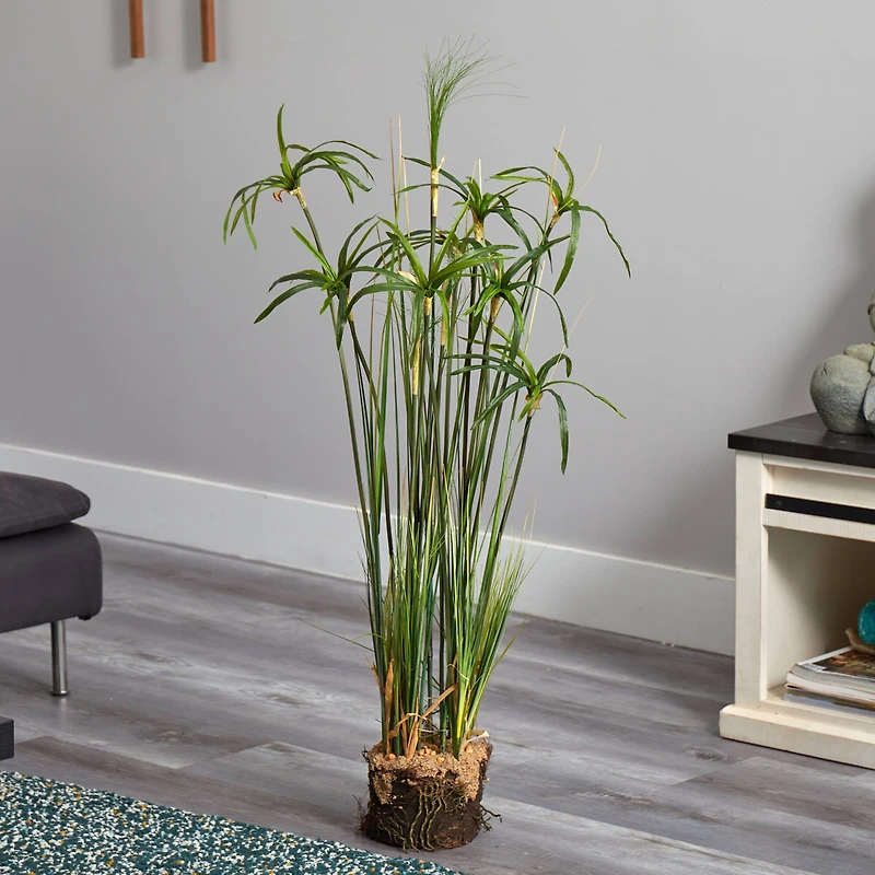 4ft. Papyrus Plant With Faux Soil Arrangement