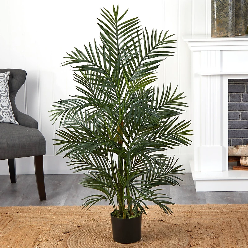 3.5ft. Potted Areca Palm