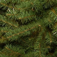 6ft. Unlit Kincaid Spruce Artificial Christmas Tree