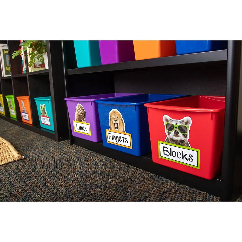 Teacher Created Resources® Go Wild Animals Accents, 3 Packs of 30