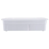 5.9qt. Storage Case by Simply Tidy®