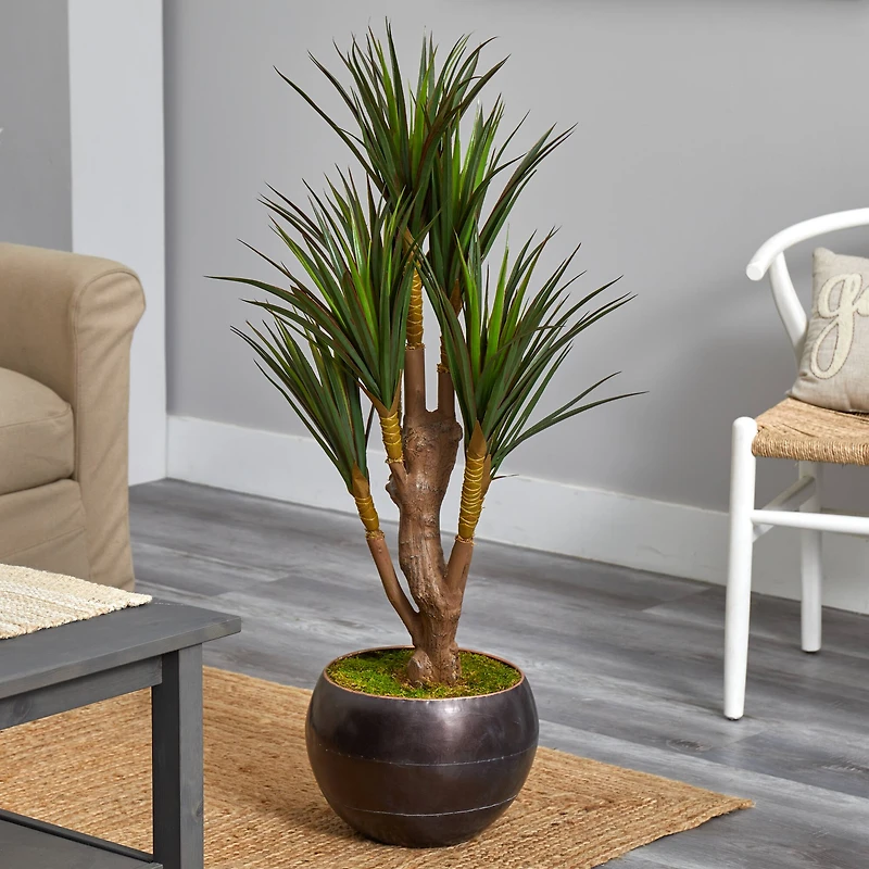 4ft. Yucca Tree in Decorative Planter