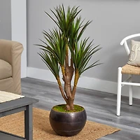 4ft. Yucca Tree in Decorative Planter