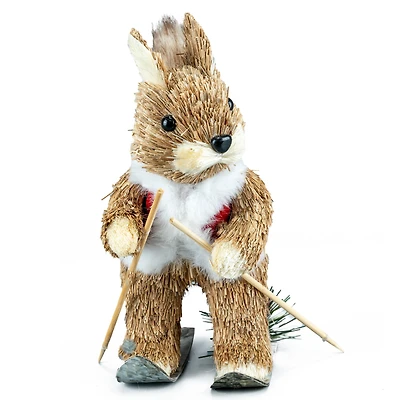 7" Skier Squirrel Natural Décor by Ashland®