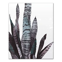 Snake Plant 16" x 20" Canvas Wall Art