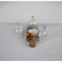Hello Honey® Mango Wood Serving Tray with 3 Glass Cloches Set