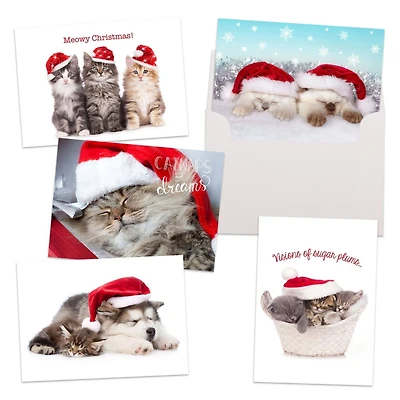 JAM Paper Season's Greetings Holiday Cat Assortment Cards Set, 25ct.
