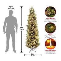 ft. Pre-Lit Carolina Pine Slim Artificial Christmas Tree with Flocked Pine Cones