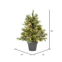 2ft. Pre-Lit Cashmere Pine Artificial Christmas Tree in Pot, Warm White Dura-Lit® LED Lights