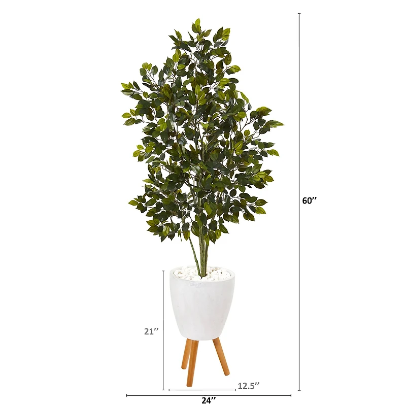 5ft. Ficus Tree in White Planter with Stand