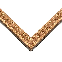 Craig Frames Versailles Gold Picture Frame