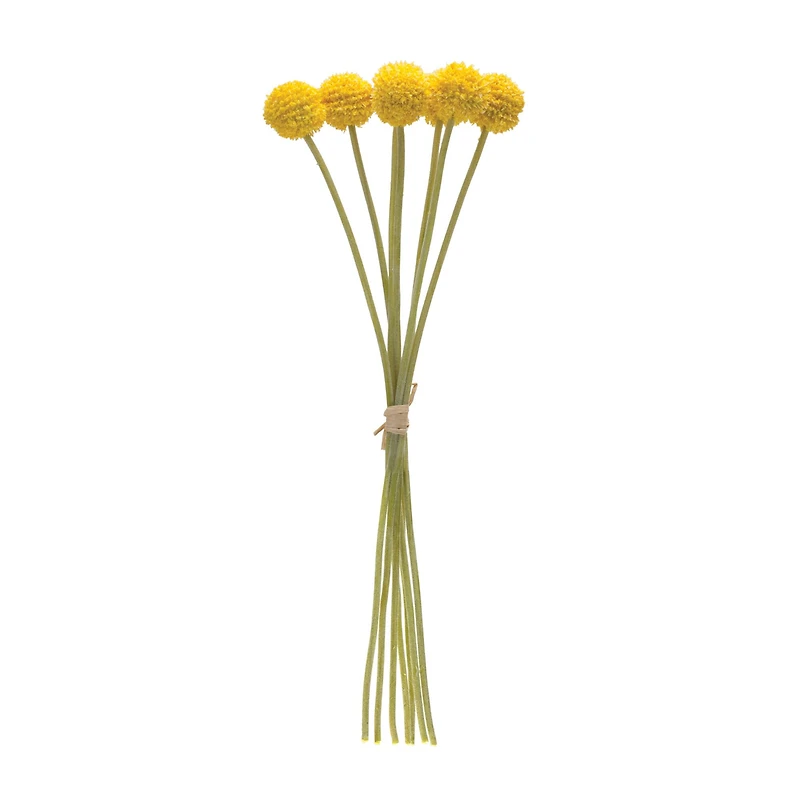 Yellow Pod Bundles, 6ct.