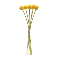 Yellow Pod Bundles, 6ct.